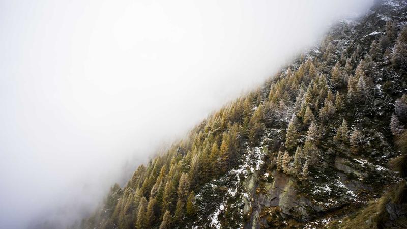 吃瓜网服务支持中心全景